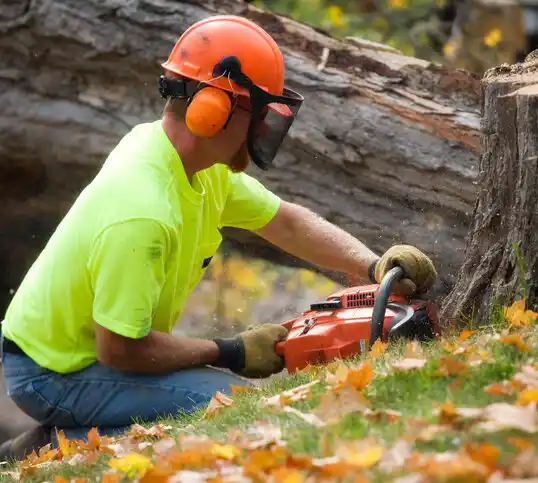 tree services Southern Pines